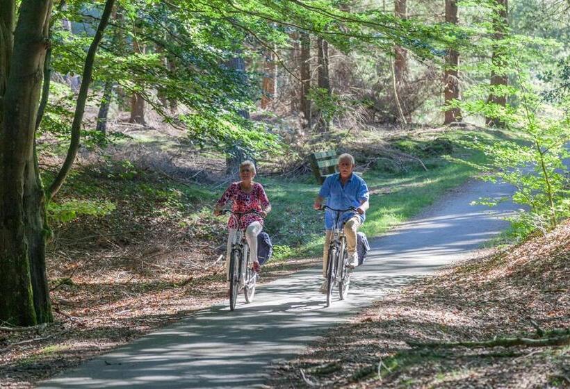 Отель Van Der Valk Spier Dwingeloo