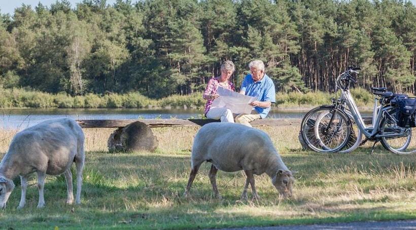 Отель Van Der Valk Spier Dwingeloo