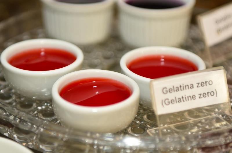 Отель Village Icarai