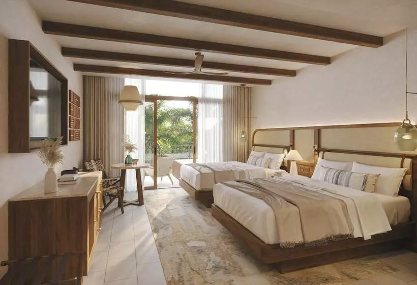 リゾートホテル Dreams Las Mareas All Inclusive