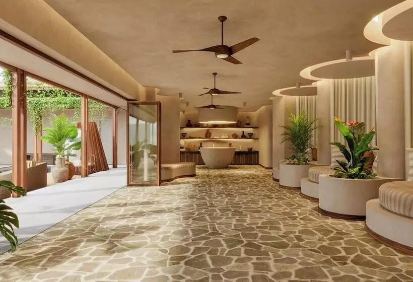 リゾートホテル Dreams Las Mareas All Inclusive