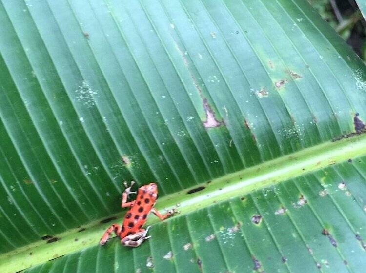 호텔 Eclypse De Mar Acqua Lodge