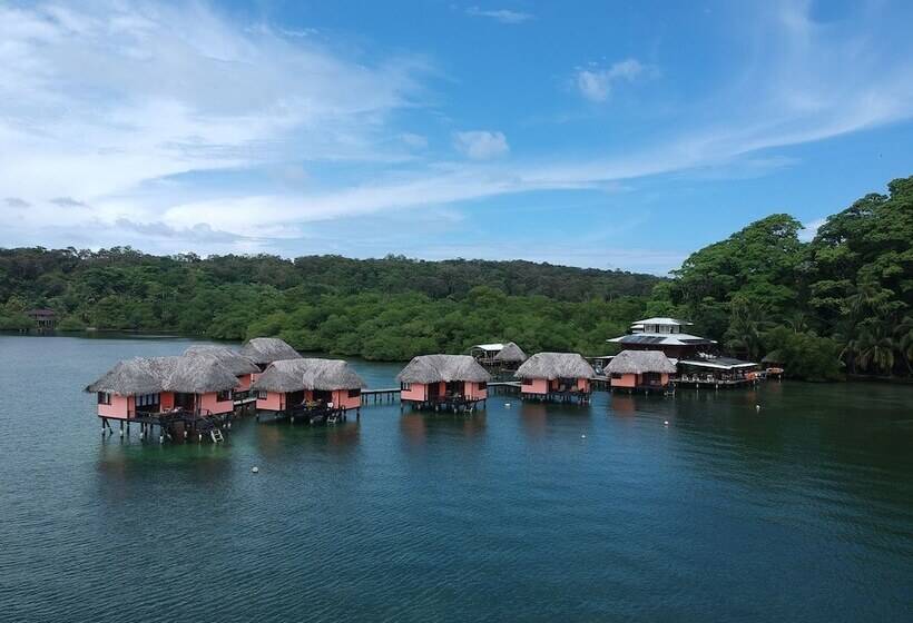 호텔 Eclypse De Mar Acqua Lodge