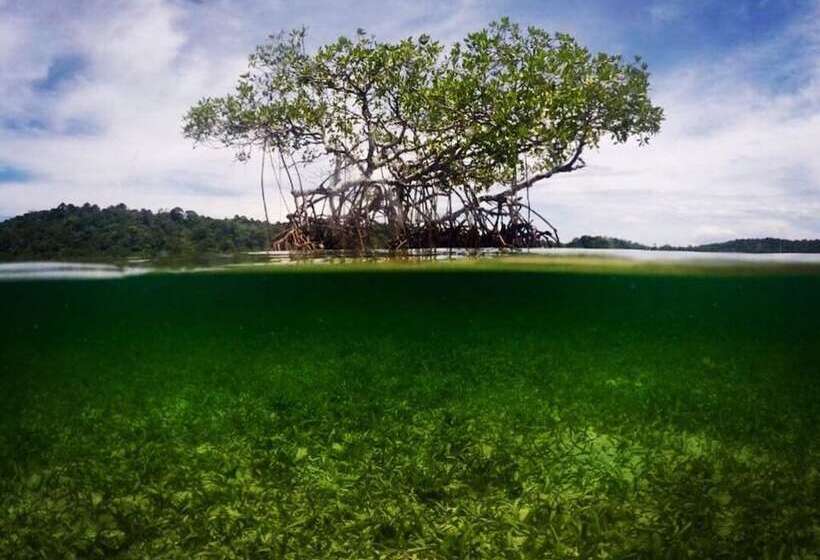 호텔 Eclypse De Mar Acqua Lodge