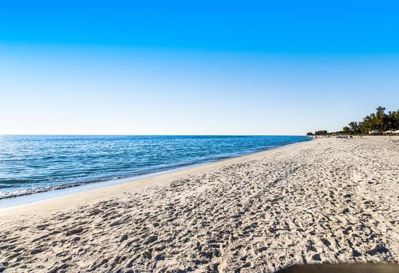 בית מלון כפרי Serenity Now