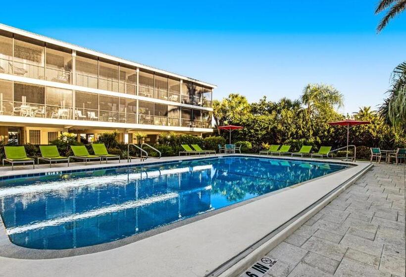 בית מלון כפרי Serenity Now