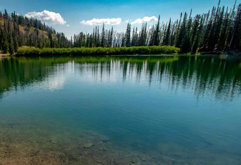 هتل Dollar Meadows 1383
