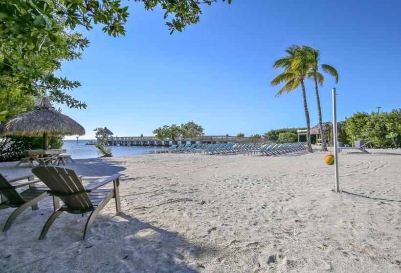 فندق Oceanside Retreat