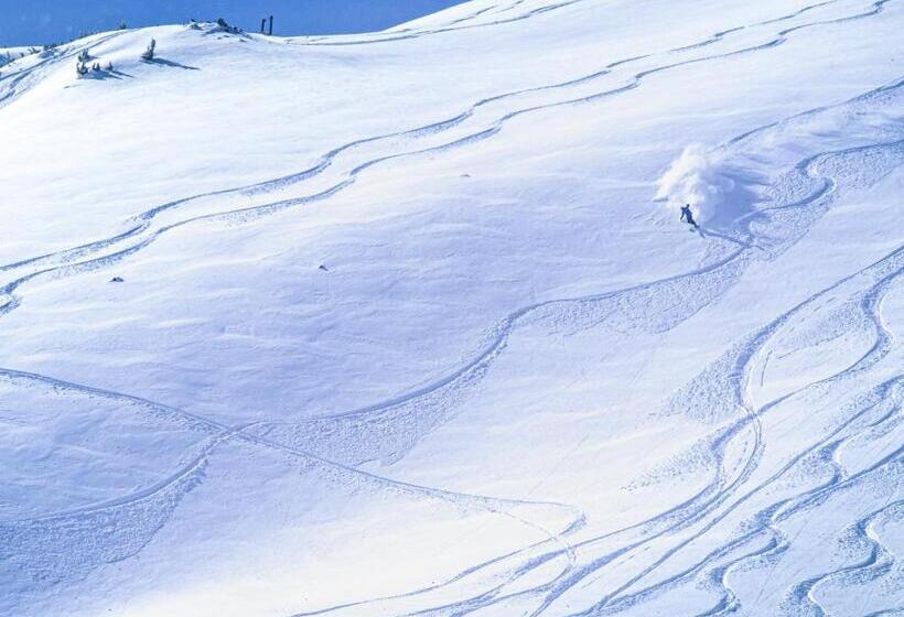 هتل Silvermill Lodge 8250