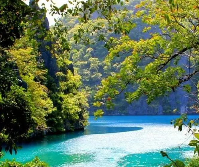 Bed and Breakfast Islanders Inn Coron