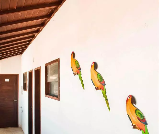 Отель Dunas & Corais Praia