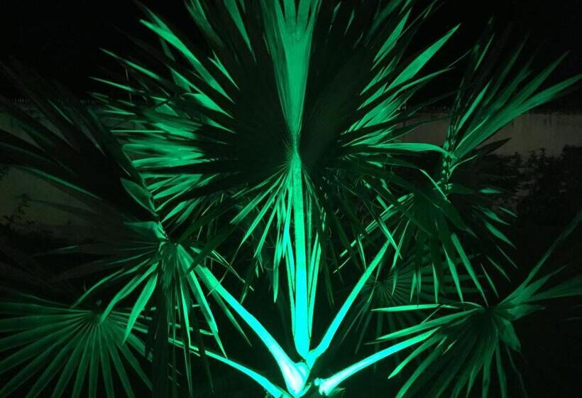 בית מלון כפרי Pousada Rancho Fundo