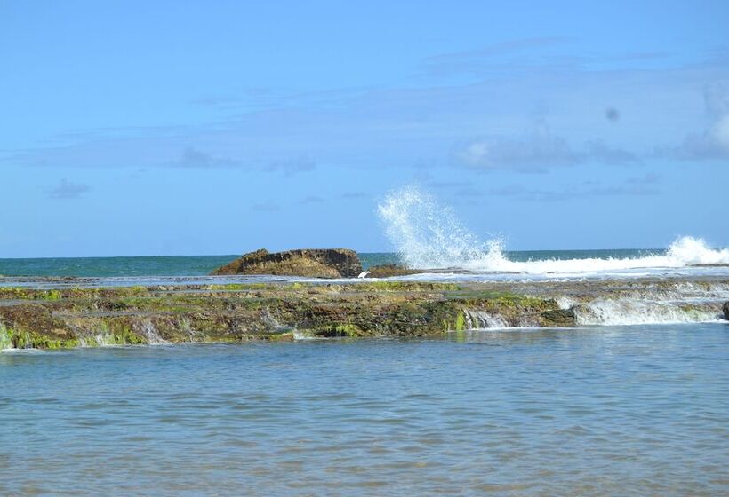 בית מלון כפרי Pousada Rancho Fundo