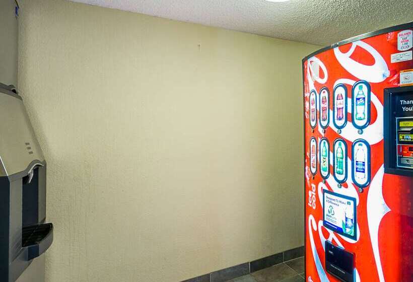 酒店 Quality Inn & Suites