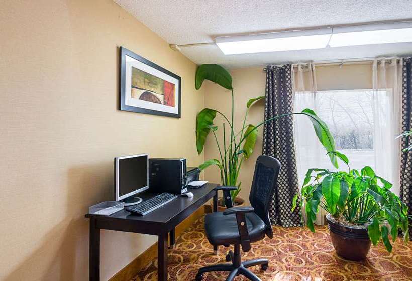 酒店 Quality Inn & Suites