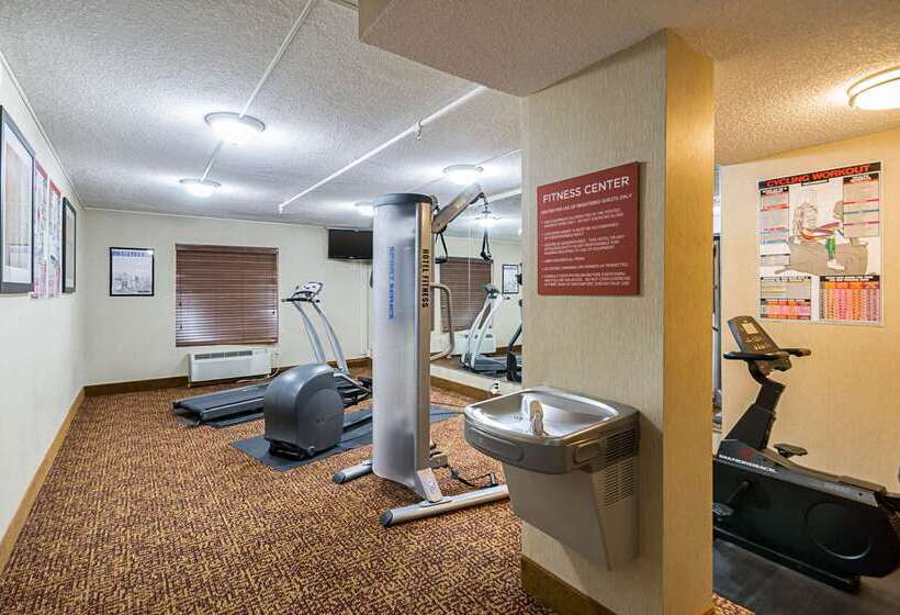 酒店 Quality Inn & Suites