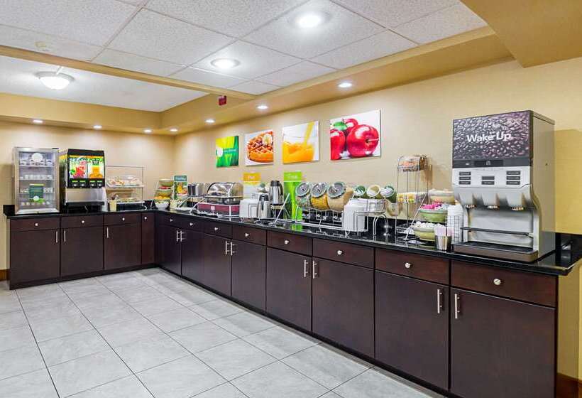 酒店 Quality Inn & Suites