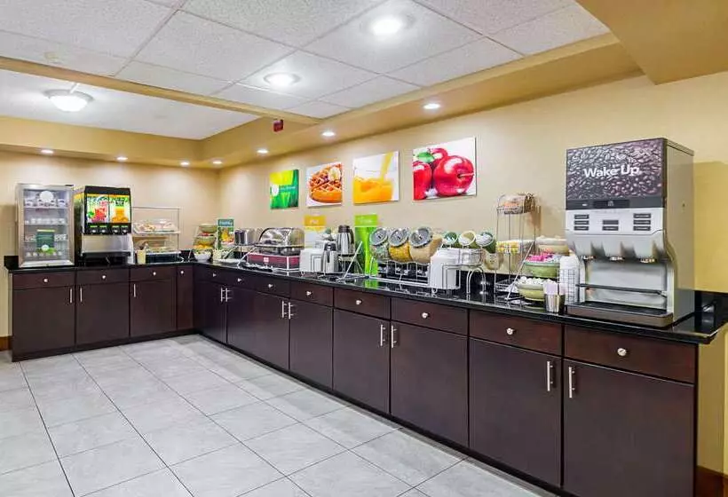 酒店 Quality Inn & Suites