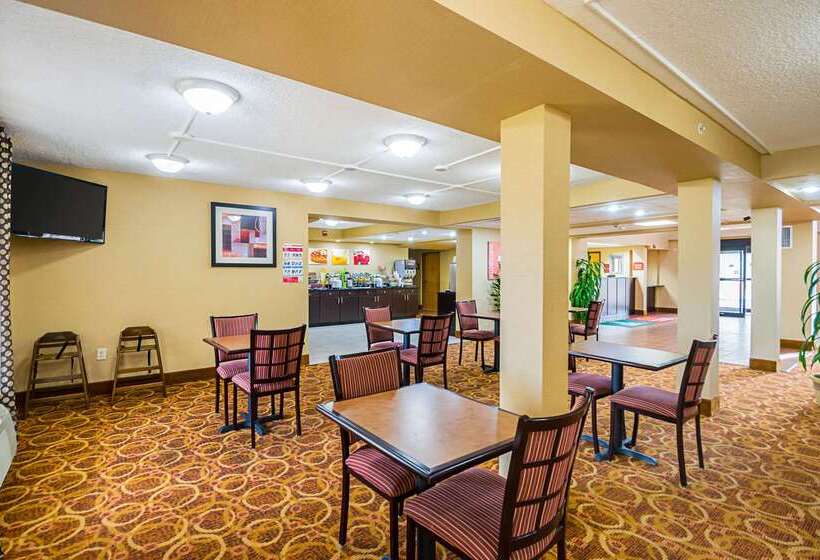 酒店 Quality Inn & Suites