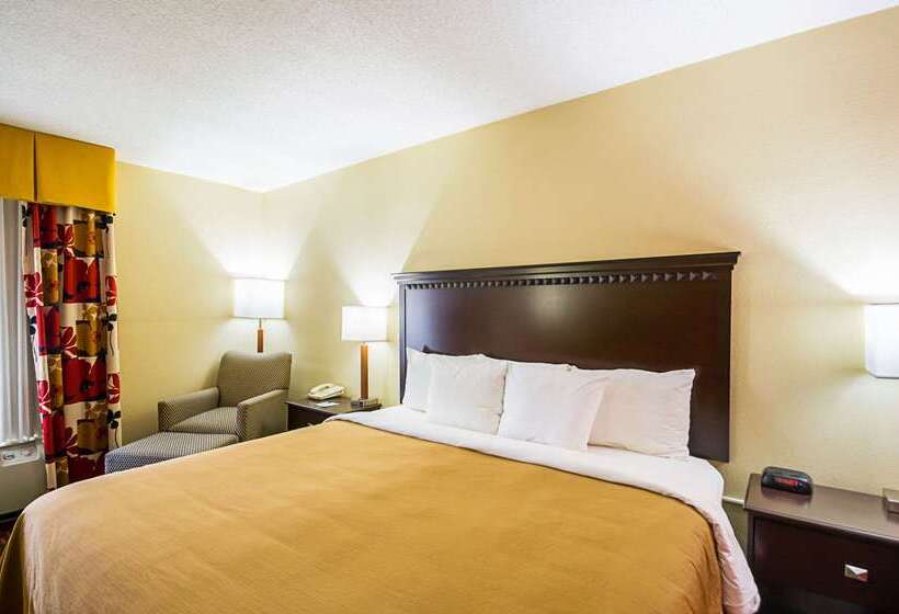 酒店 Quality Inn & Suites