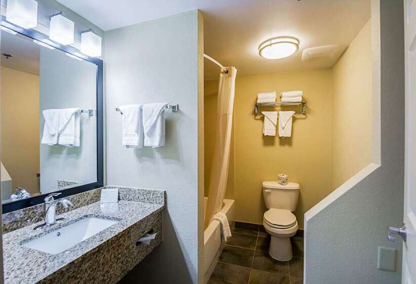 酒店 Quality Inn & Suites