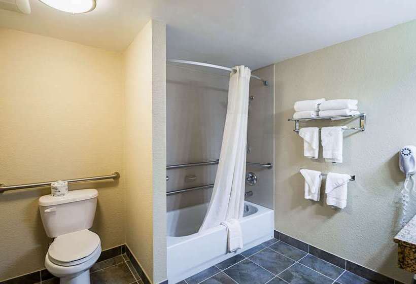 酒店 Quality Inn & Suites