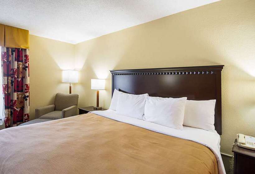 酒店 Quality Inn & Suites