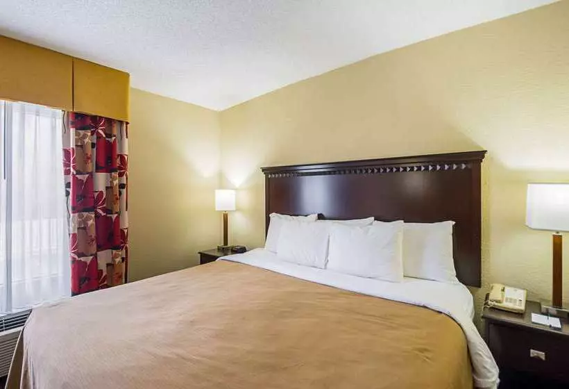 酒店 Quality Inn & Suites