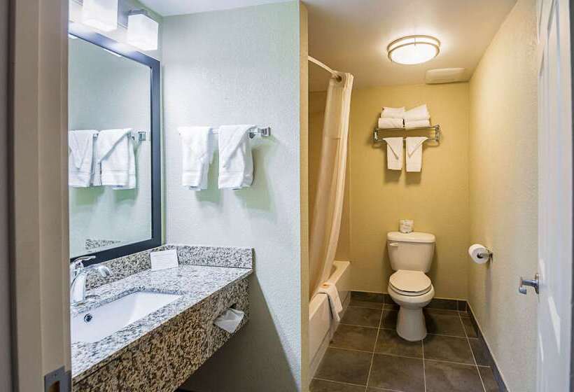 酒店 Quality Inn & Suites