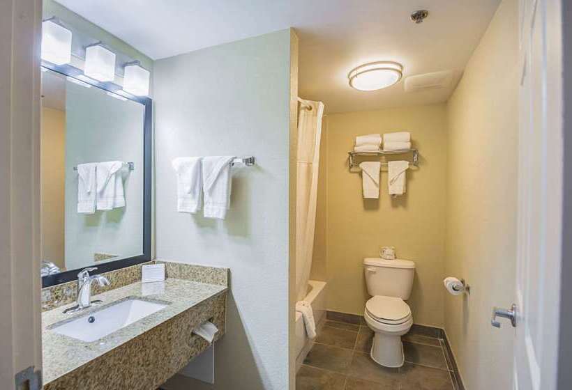 酒店 Quality Inn & Suites