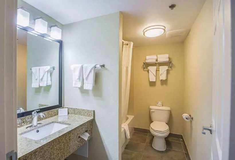 酒店 Quality Inn & Suites