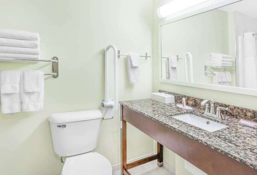 בית מלון כפרי Ramada By Wyndham Carlyle