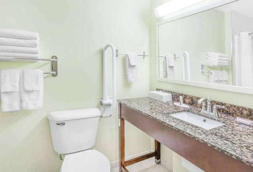 בית מלון כפרי Ramada By Wyndham Carlyle