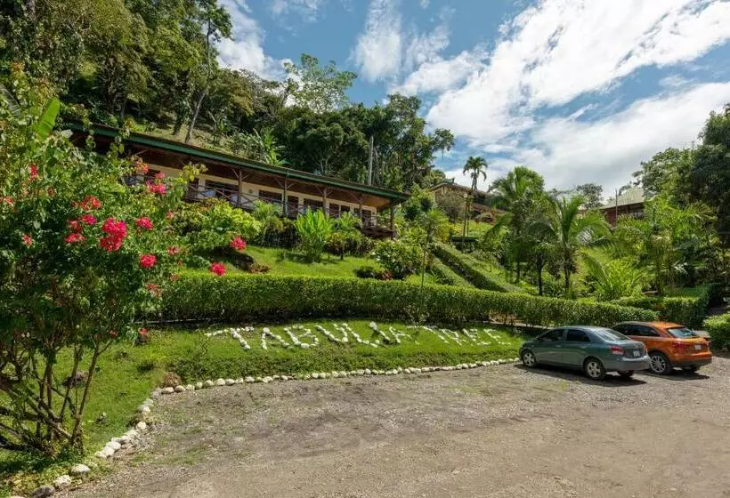 Hotel Tabulia Tree