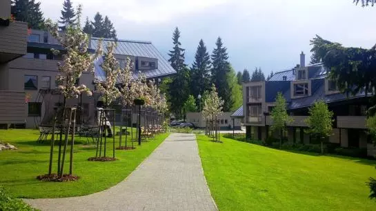 Resident Harrachov