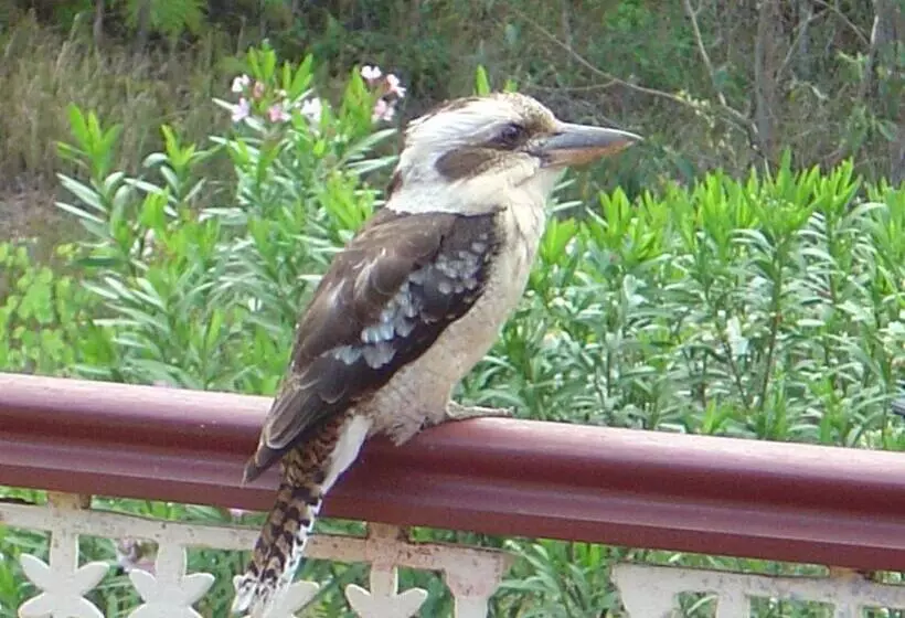 Riviera Bed & Breakfast