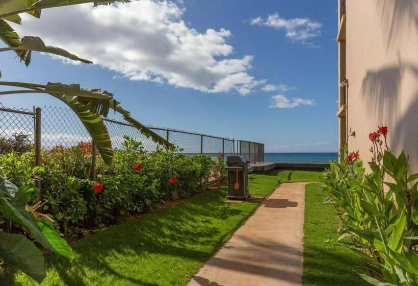 فندق Nohonani 306