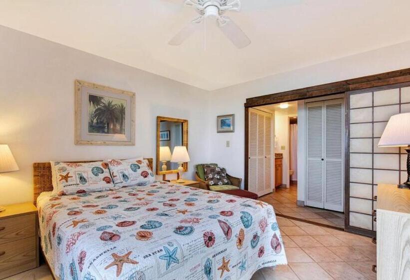 فندق Nohonani 306