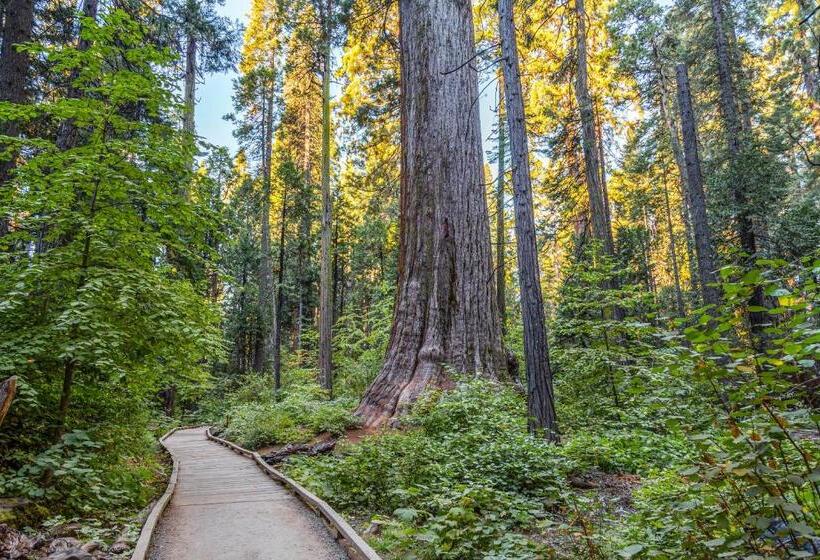 酒店 Wine & Woods Retreat