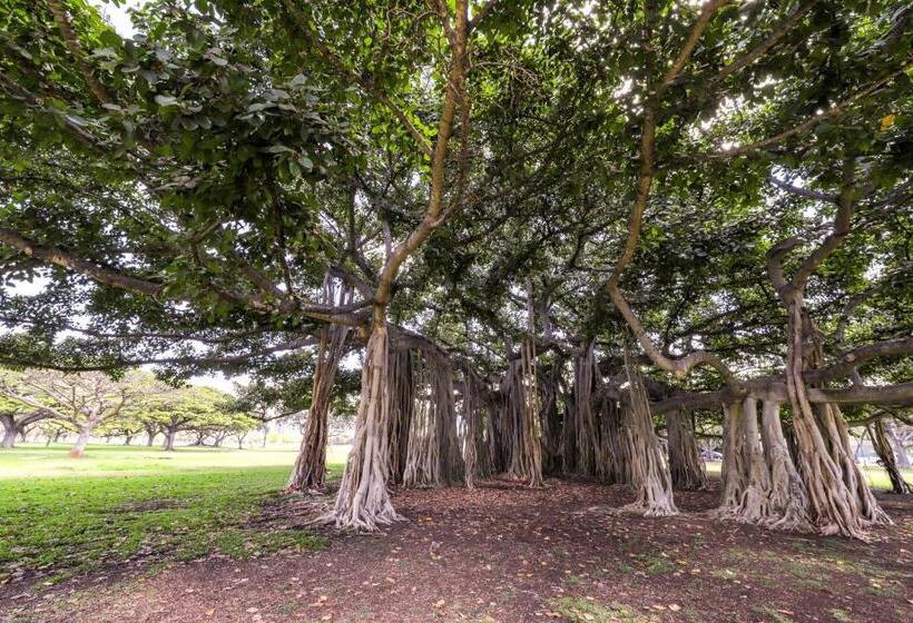 ホテル Monsarrat Apt. C