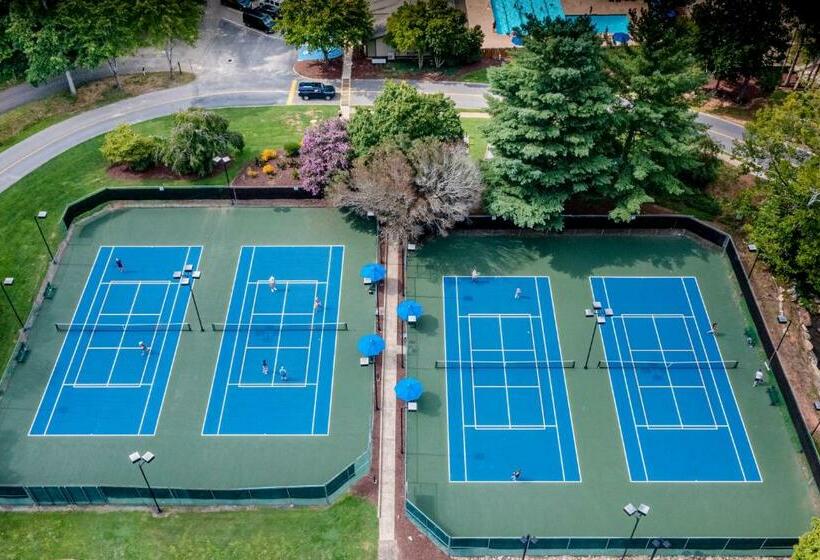 酒店 Treetop Serenade