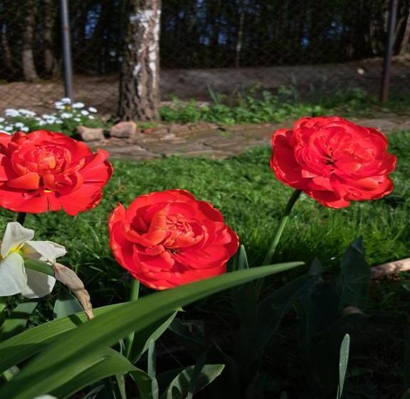 هتل Mala Farma Nani