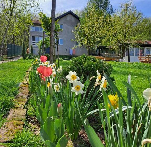 هتل Mala Farma Nani