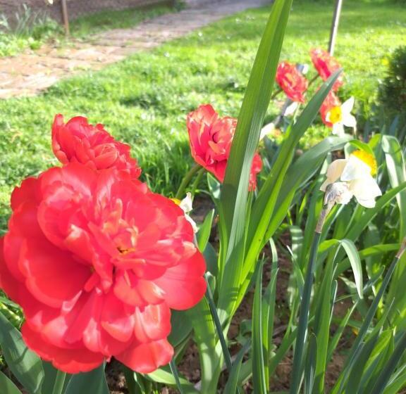 هتل Mala Farma Nani