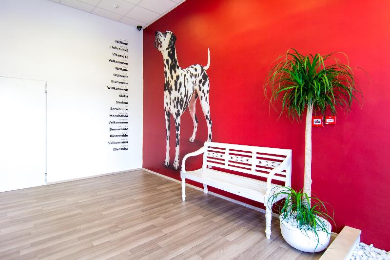 Design Hostel 101dalmatinac