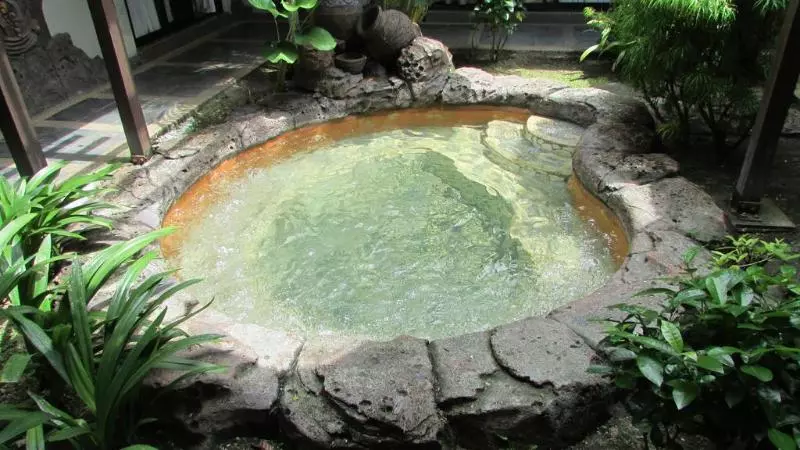 Otel Felda Residence Hot Springs