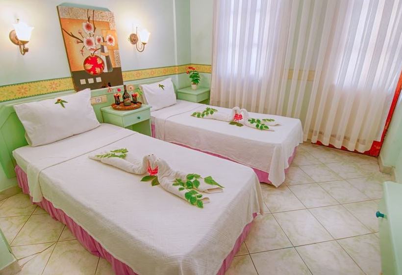 فندق Garden Ruya