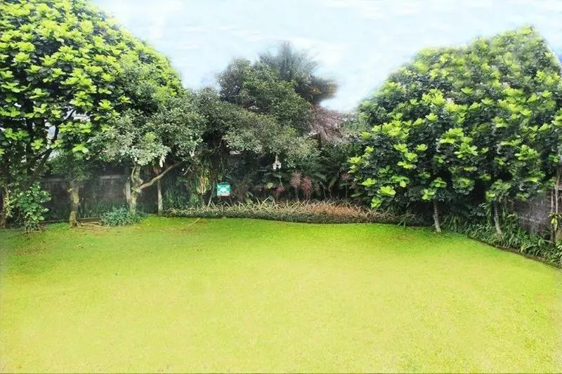 Otel Papyrus Tropical