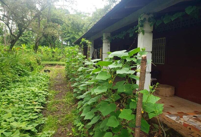 تختخواب و صبحانه One Privatre Room/br In A Private House In Balgue