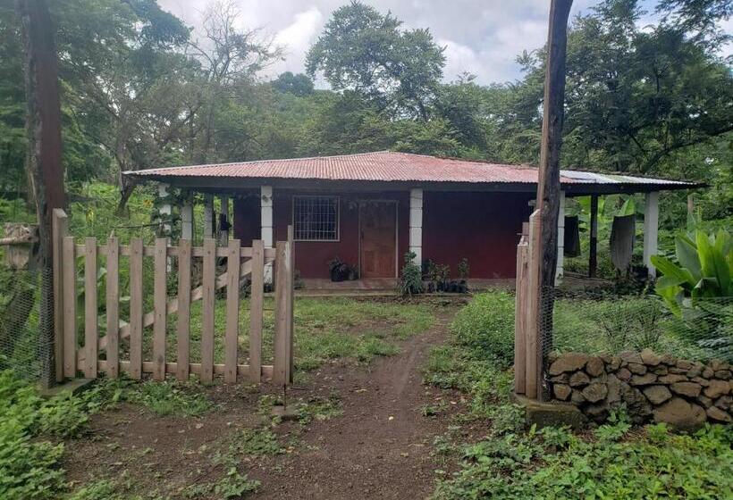 تختخواب و صبحانه One Privatre Room/br In A Private House In Balgue